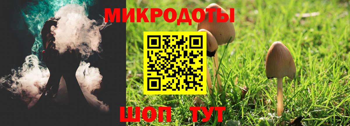 Галлюциногенные грибы Psilocybine cubensis  Вход с VPN  Краснокаменск 